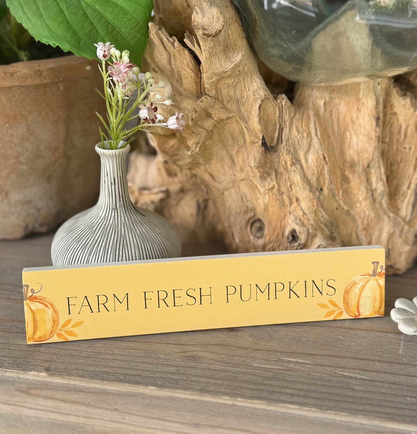 Wooden Autumn Fun Message Plaque/Sign