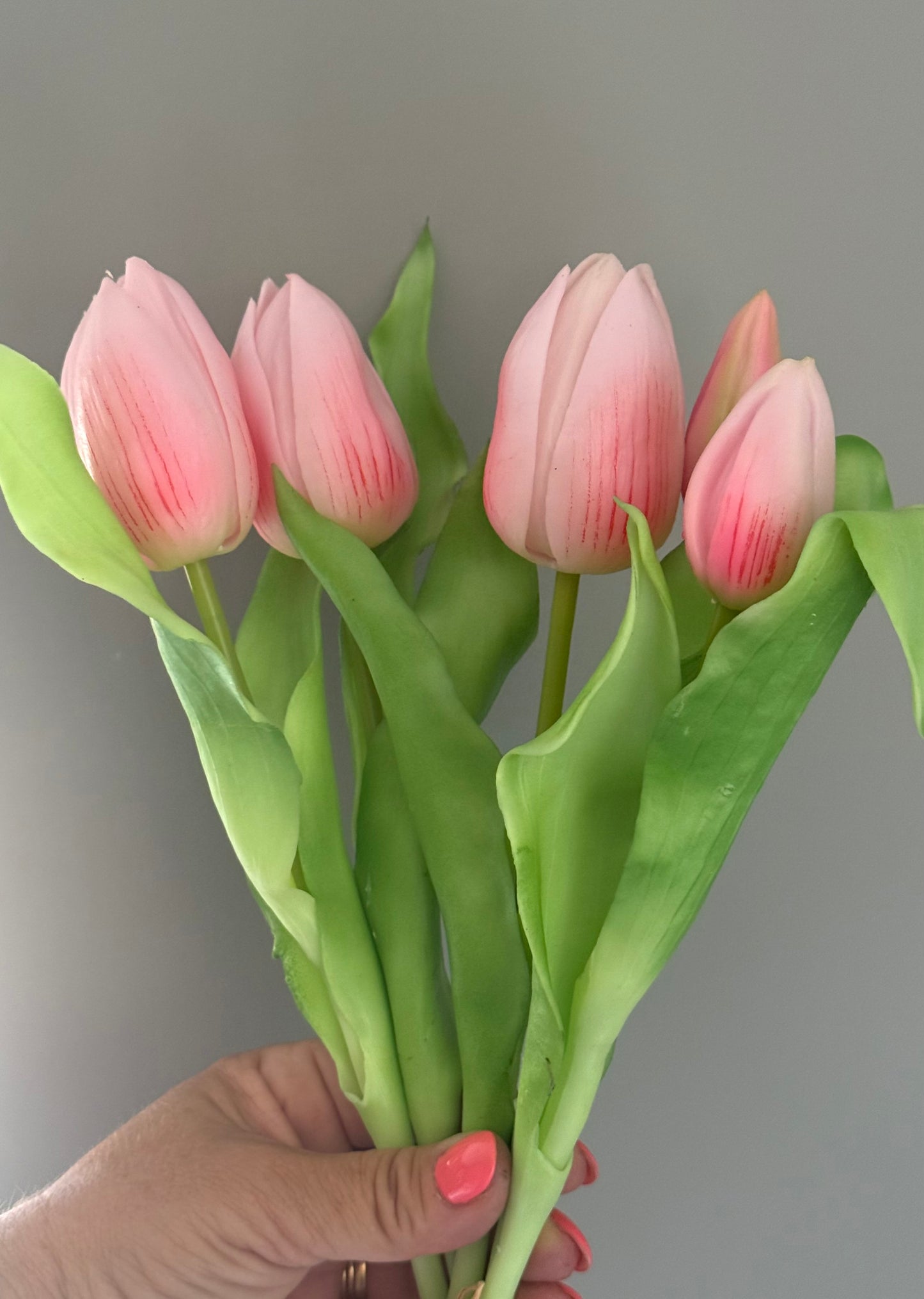 Pink Tulip Bunch - 5 stems per bunch