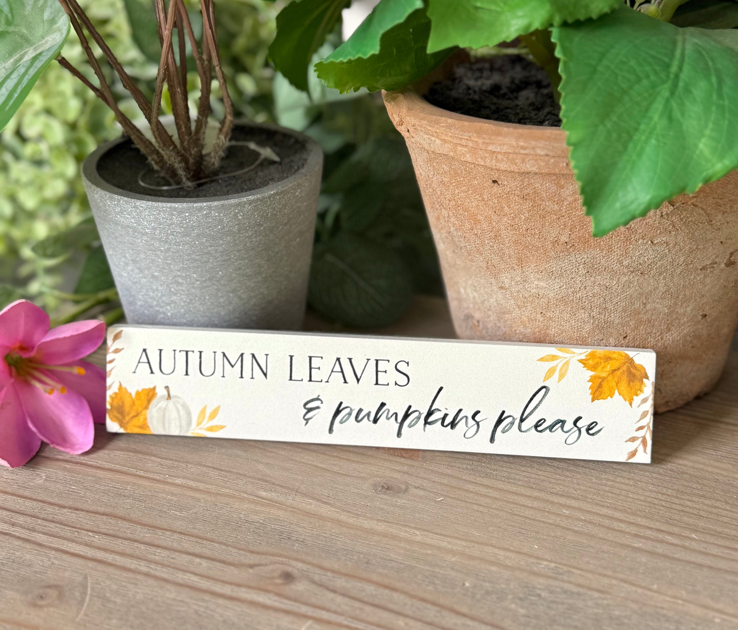 Wooden Autumn Fun Message Plaque/Sign