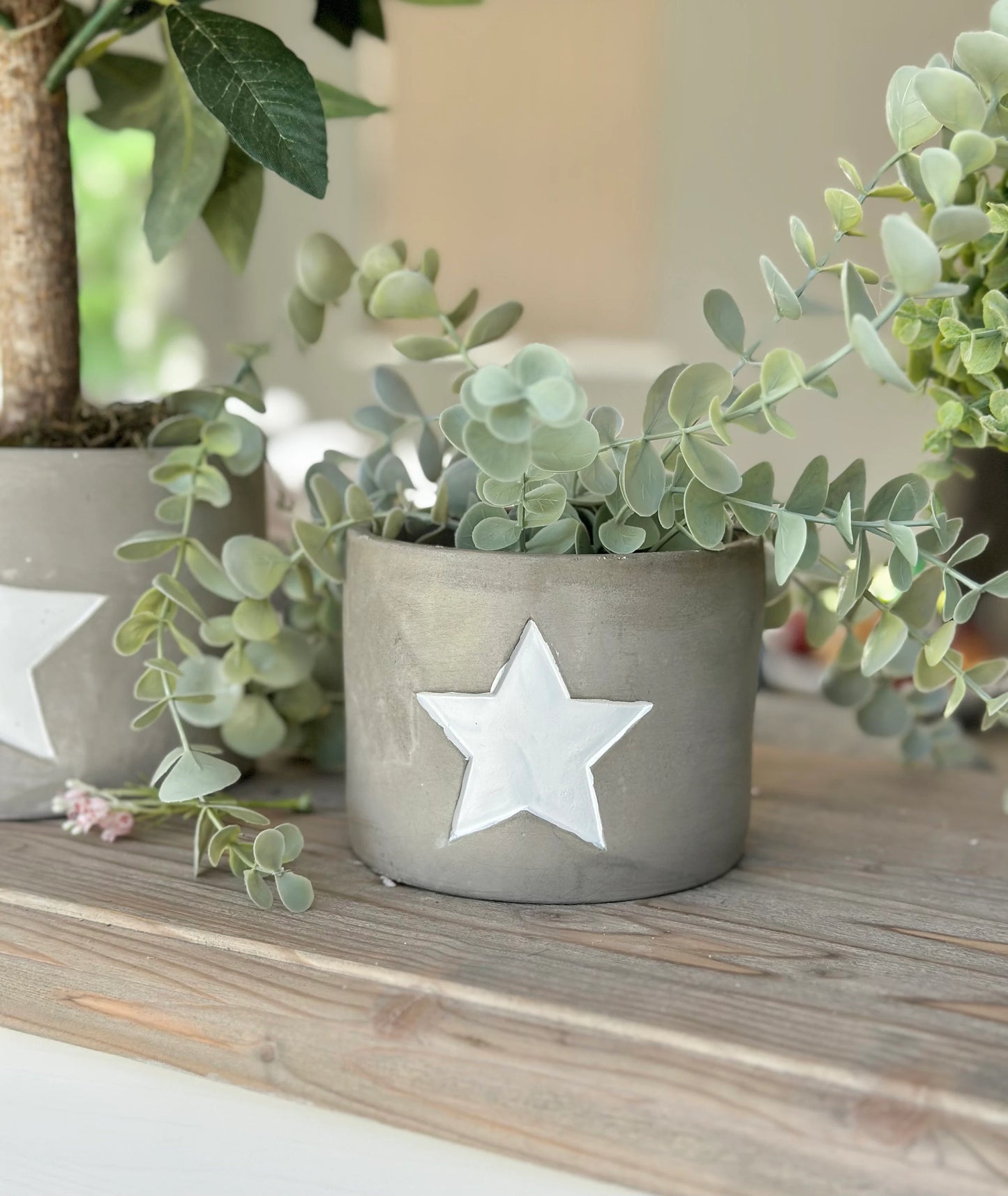 Cement White Star Planter - 2 sizes available