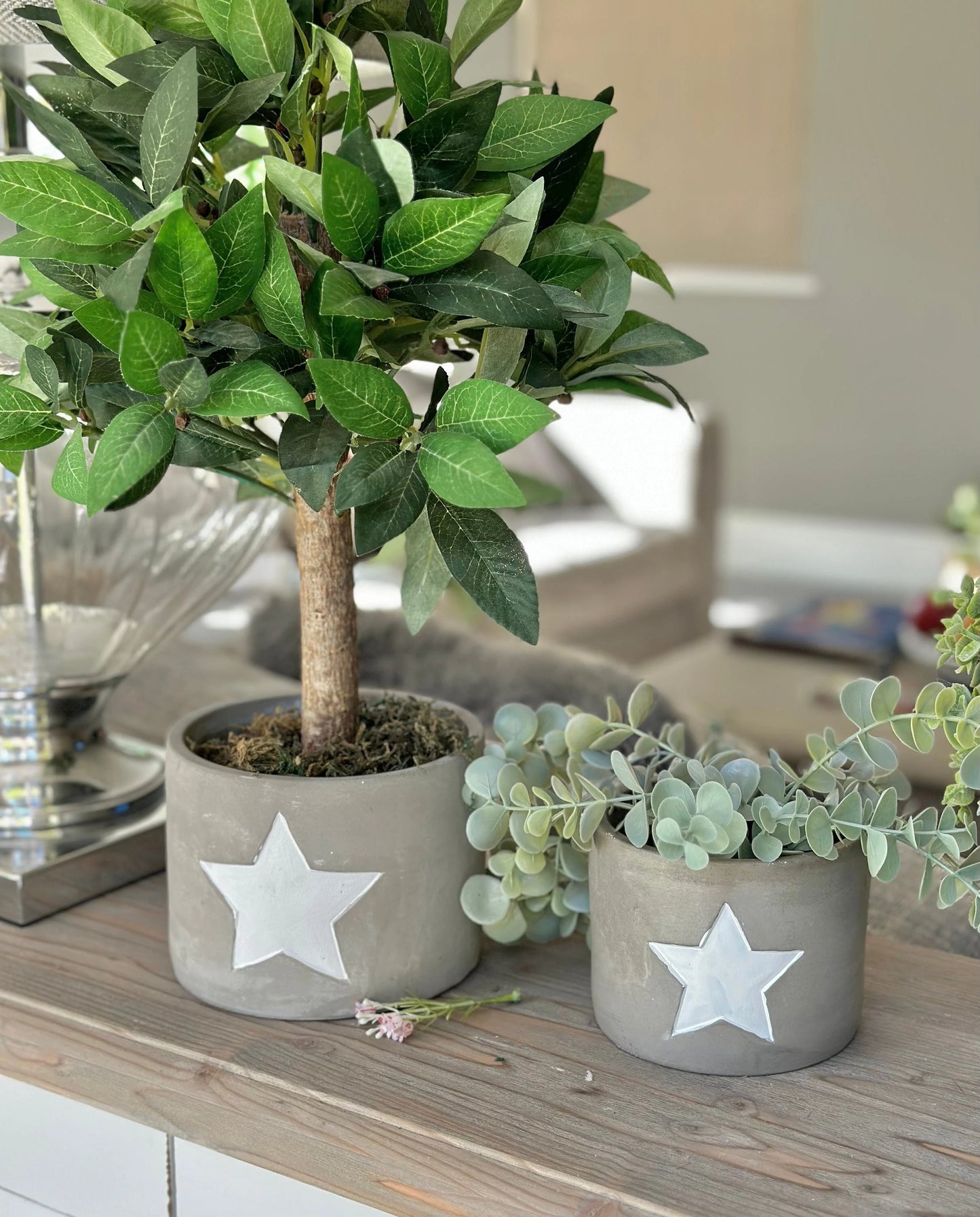 Cement White Star Planter - 2 sizes available