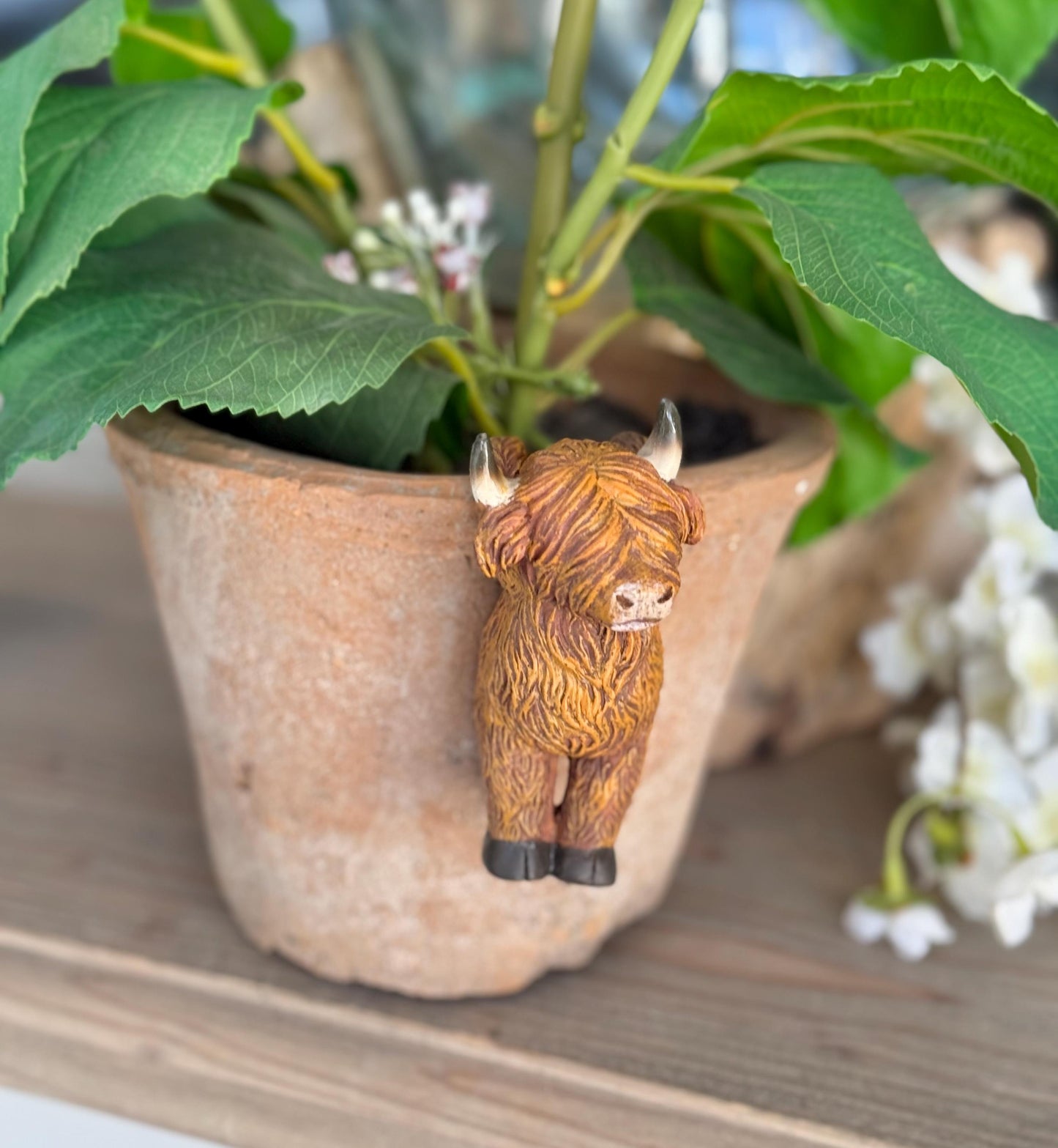 Sweet Highland Cow Pot Hanger - Hanging Backwards