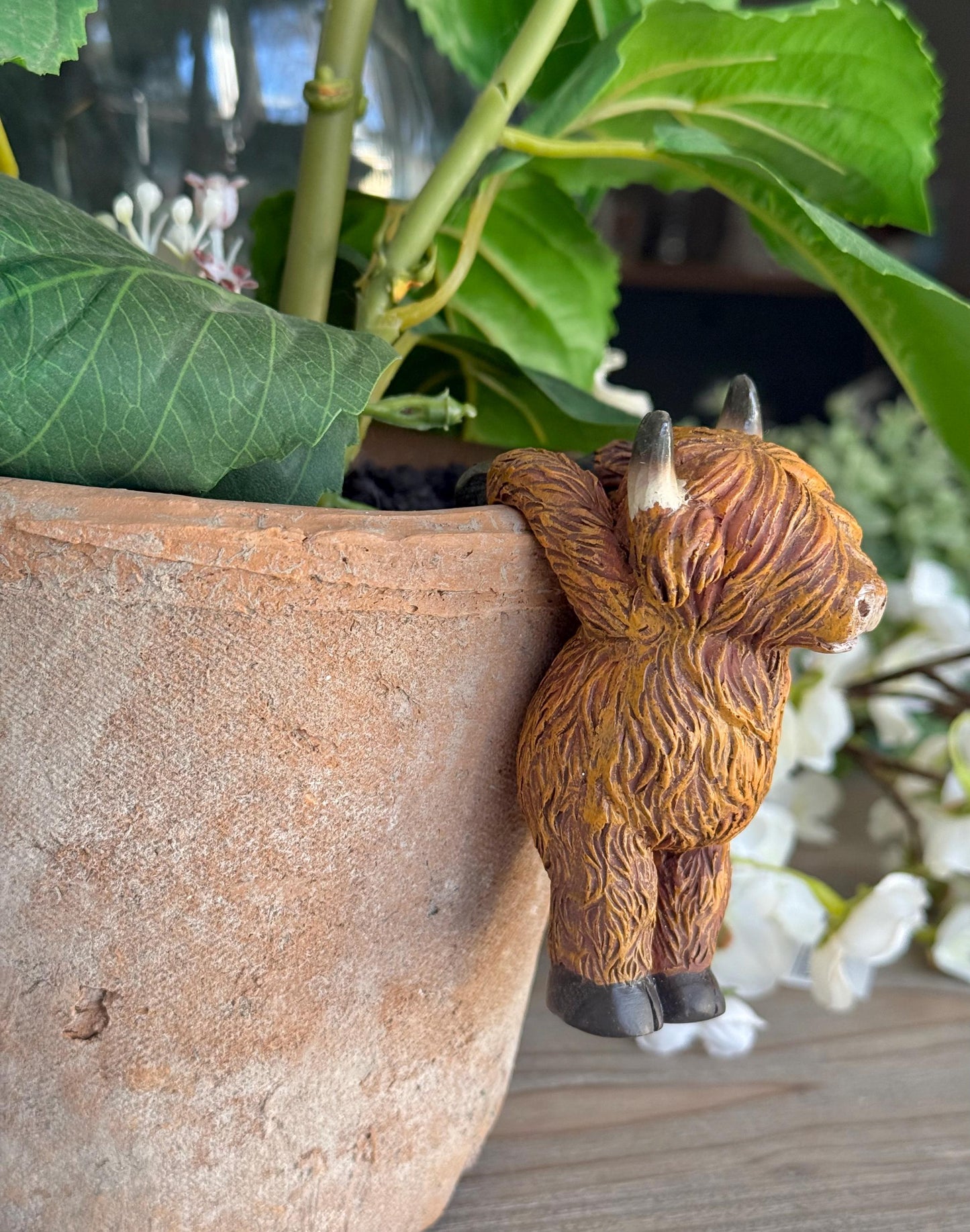 Sweet Highland Cow Pot Hanger - Hanging Backwards