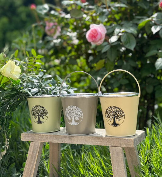 Small Vintage Metal Bucket Planter With Handle