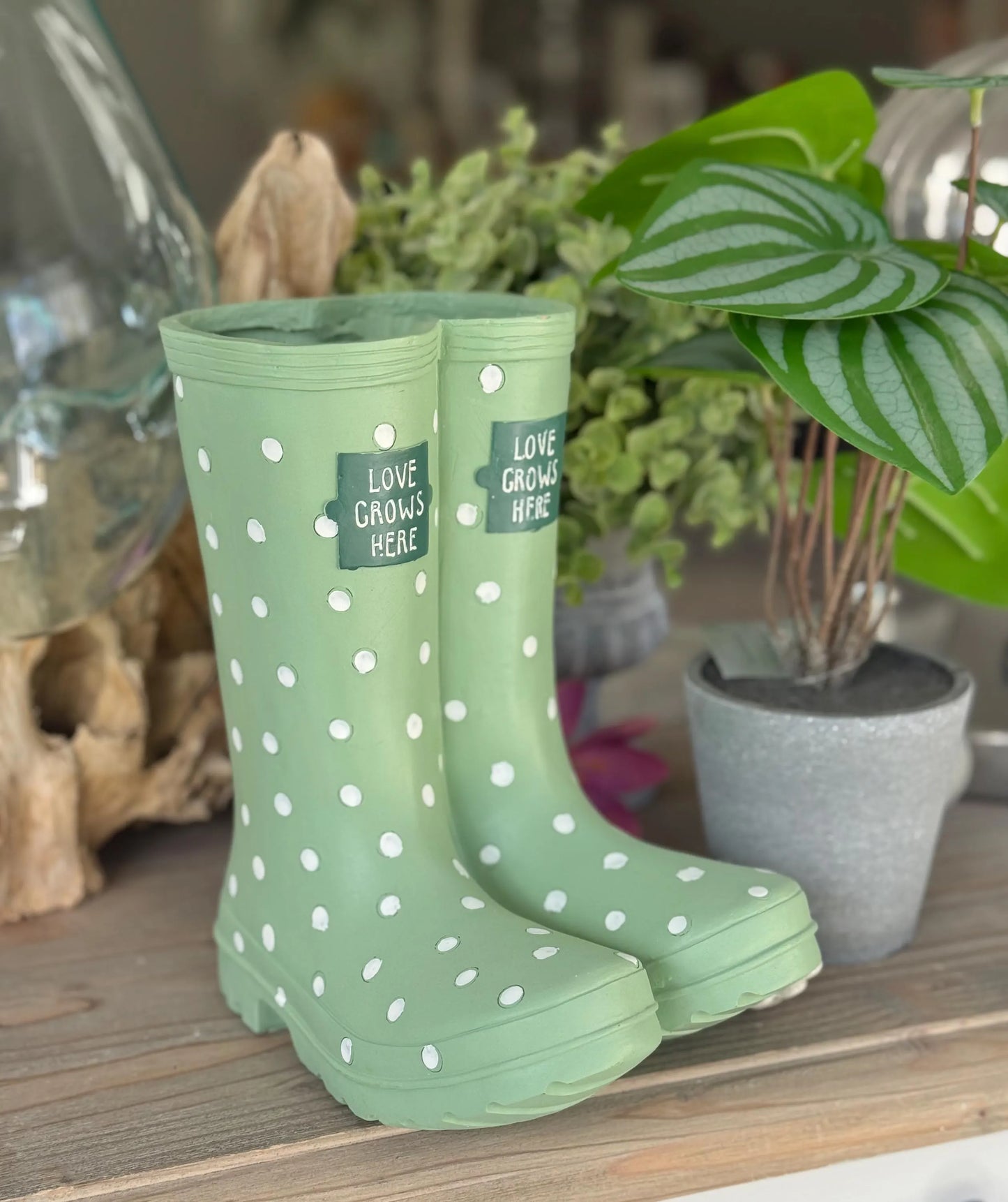 Green Polka Dot Welly Planter