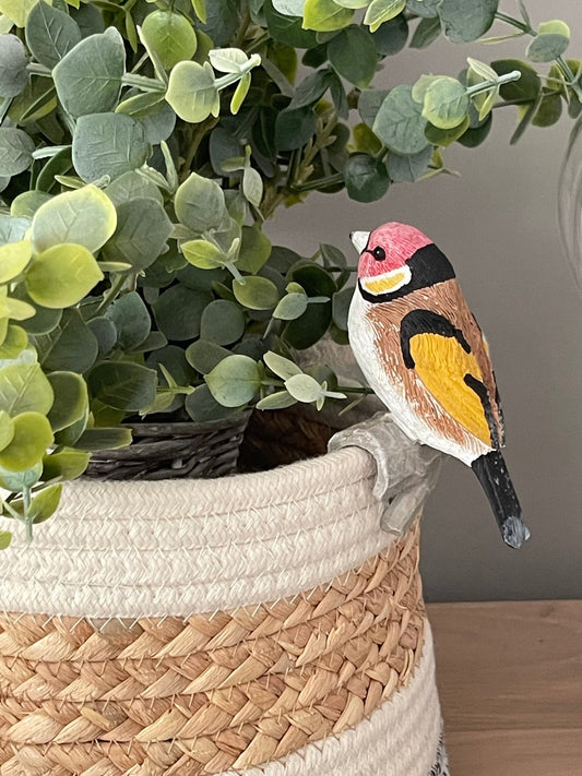 Goldfinch Pot Hanger - Red/Yellow