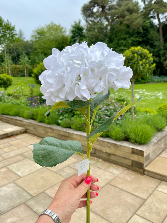 White Giant Hydrangea - 83cm