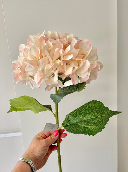 Blush Pink Giant Hydrangea - 83cm