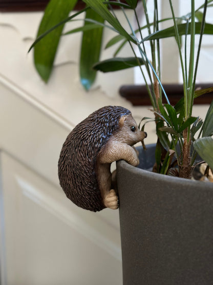 Large Hedgehog Pot Hanger