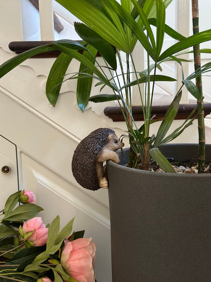 Large Hedgehog Pot Hanger