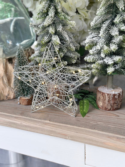 Silver Wire LED Star, 20cm